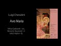 Luigi Cherubini - Ave Maria, wyk.  Miłosz Garbowski, Beniamin Baczewski, Jakub Hajdun.