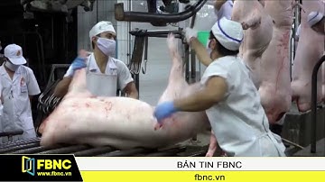 FBNC - TP.HCM : Quy định điều kiện cơ sở tham gia truy xuất nguồn gốc thịt heo