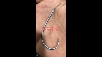 Cách uốn lưỡi câu cá lóc trứng rùa