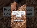 Proses Membuat Coklat Dari Buah Kakao