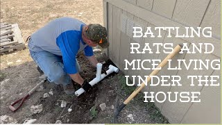 Battling rats & mice that live under the house at our hunting camp in the desert  -- they win? by Corporate Gone Country 151 views 9 months ago 13 minutes, 34 seconds