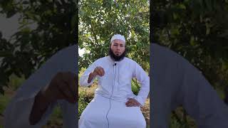 شجرة الجوافة في المنام للشيخ أحمد عبد الحافظ