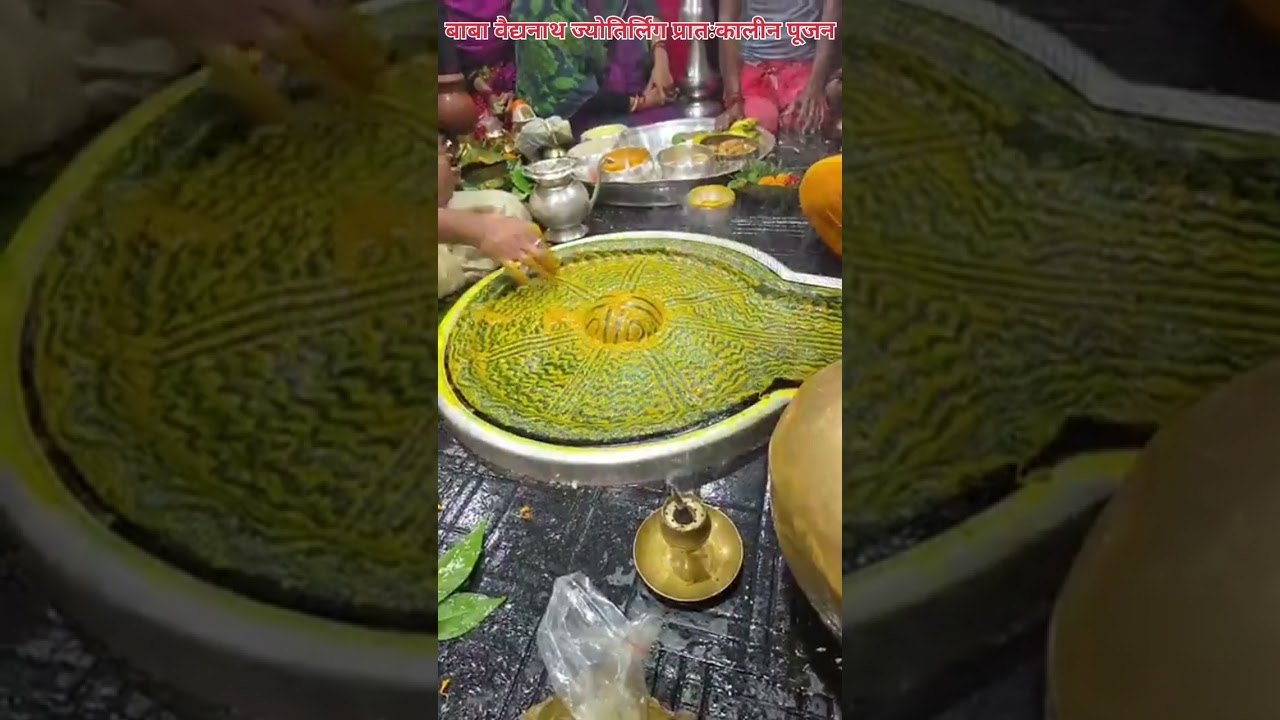 🌺🌿⚘️ बाबा वैद्यनाथ ज्योतिर्लिंग प्रातःकालीन पूजन 🌺🌿⚘️ 3/1/2026 