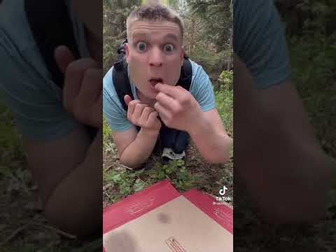 Муравей подстава