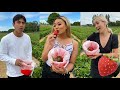 FIRST TIME BERRY PICKING WITH MUHAMMUD AND GEO | Krystina Sdoeung