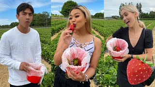 FIRST TIME BERRY PICKING WITH MUHAMMUD AND GEO | Krystina Sdoeung