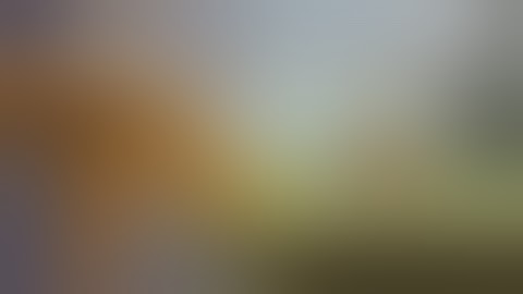 Zerando A Lenda De Beowulf (EMULADOR DE JAVA PARA ANDROID)