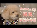 【愛．回家之開心速遞】明日之星啤啤 演技大爆發