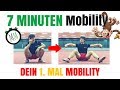 Effektive BEGINNER Mobility Routine | 7 Minuten Mobility