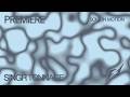 Singr - Tonnage