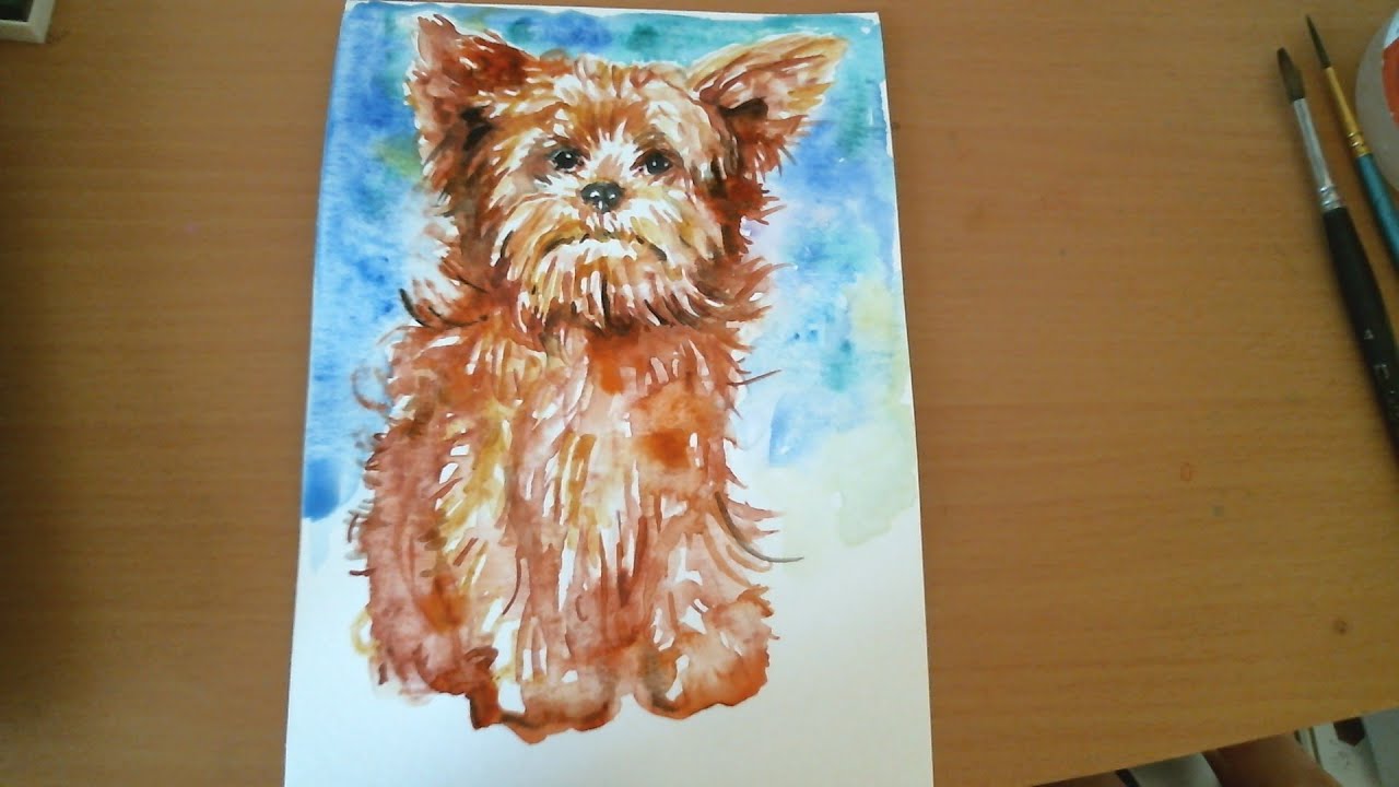 Yorkshire terrier , How to paint Yorkie puppy ,Dog art, pet