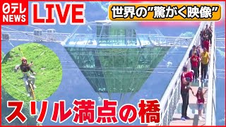 【世界の驚がく映像ライブ】炎に包まれた新郎新婦/2歳の女の子が“宙づり”　絶体絶命…　など―World Heart Stopping Moments (日テレNEWS LIVE)