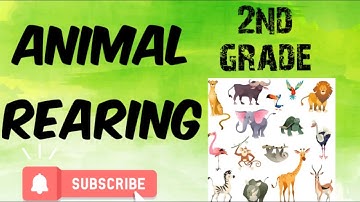 Animal Rearing - domestic and wild Animals