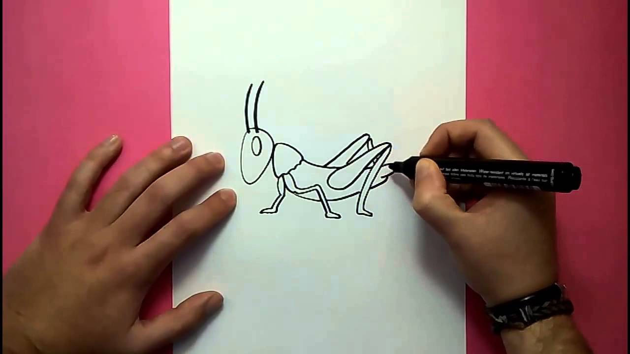 Como dibujar un saltamontes paso a paso | How to draw a grasshopper -  thptnganamst.edu.vn