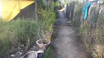 Lô đất vườn 1000m2 giá 2 tỷ l Phước Lâm- Cần Giuộc- Long An l 0899489216