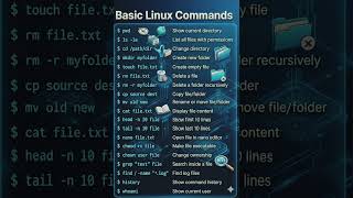 BASICS LINUX COMMANDS #career #networking #windows