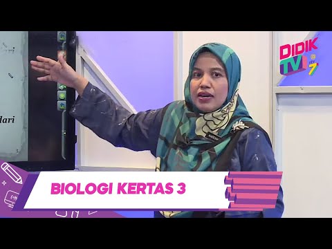 Video: 3 Cara Menerangkan Kepekaan Gluten kepada Anak