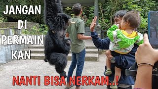 Hore siamang ke temu pengunjung..