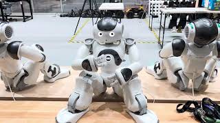 NAO seated gestures with non-verbal cues