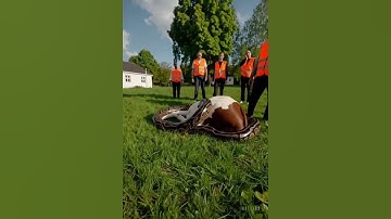 Massive Python Coils Around Cow – People Can’t Believe Their Eyes!