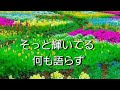 名もなき花 山口瑠美 cover カラオケ喫茶 ステージワンのぶこ 