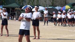 運動会 応援合戦―岐阜聖徳学園大学附属小学校