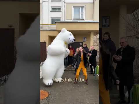 Любит / не любит - не гадай на ромашке. Поздравление от белого мишки и Насти Кравченко