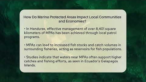How Do Marine Protected Areas Impact Local Communities and Economies? - Ecosystem Essentials