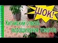 ШОК!!!КИТАЙСКИЙ СПОСОБ ВЫРАЩИВАНИЯ РАССАДЫ ТОМАТОВ!