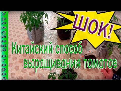 Вопрос: Какие есть способы выращивания рассады?