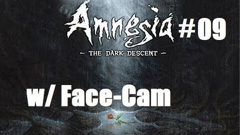Amnesia The Dark Descent w/ Face-Cam part 09: Fixin