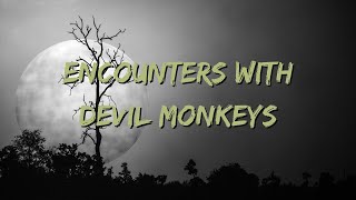 Encounters with Devil Monkeys