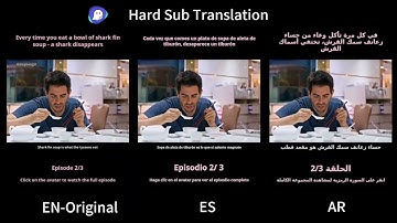 An introduction to GhostCut Hard Sub Translation