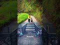 Amazing 3D Stair Illusion on Road 😱 Looks Totally Real! #shorts