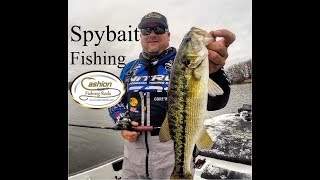 How To Spybait