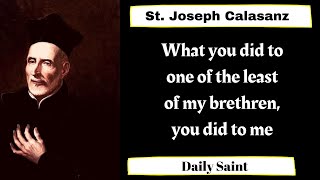 St. Joseph Calasanz, Daily Saint, Spanish, priest, educator, founder of the Pious Schools, Piarists