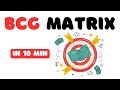 Understanding the BCG Matrix