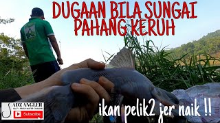 VLOG #31Dugaan memancing bila sungai pahang keruh, (dapat spesis pelik2 jer)