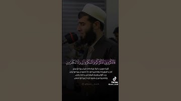 أروع ماتسمع من القرآن الكريم بصوت الشيخ محمد رزكار الكردي 💞🌸