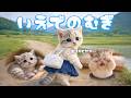 【社畜ねこのむぎ】ママ大好きだにゃ... むぎが家出をした理由とは...🐱🏠