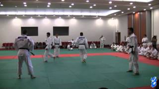 judo show