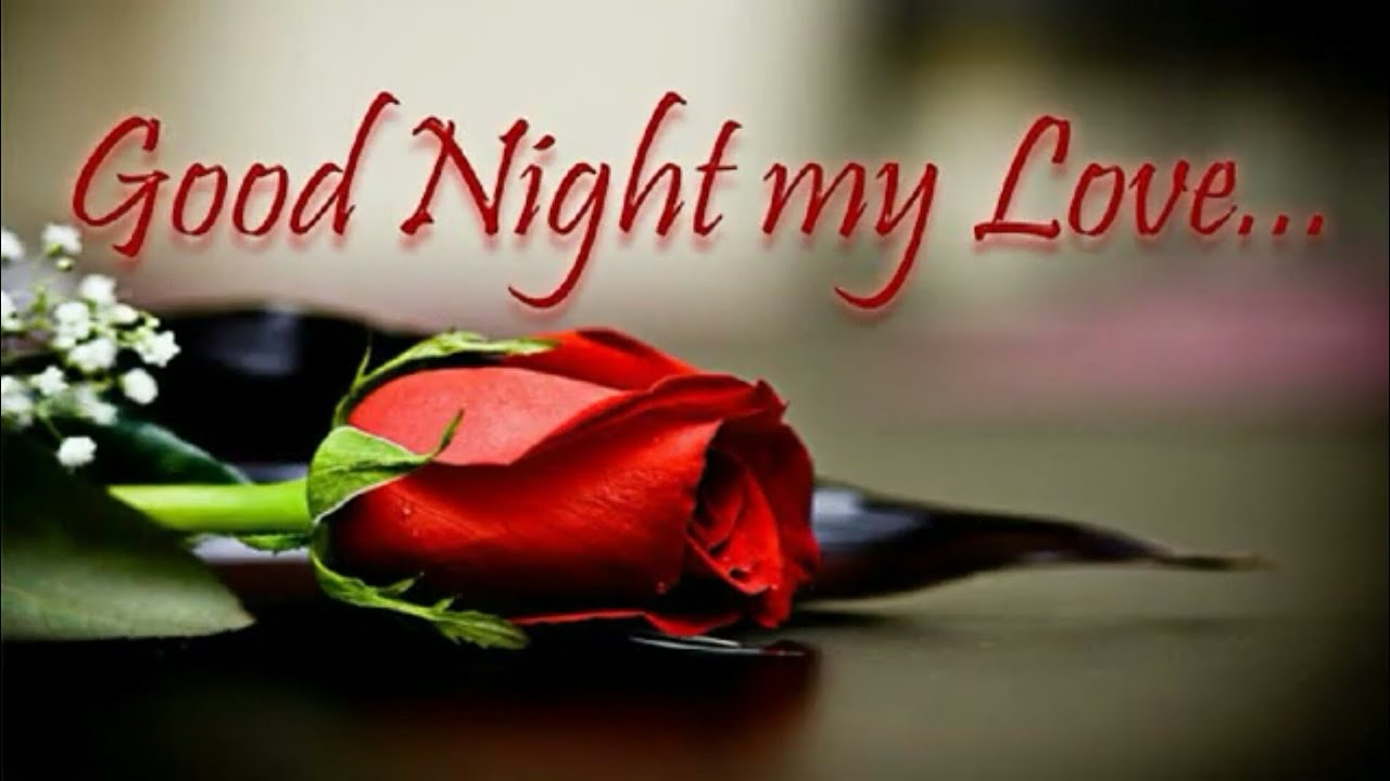 Good Night My Love Sweet Dreams My Life  - YouTube