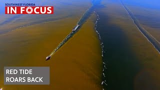 Massive Red Tide Bloom Takes Over SWFL | Southwest Florida in Focus