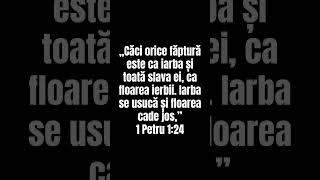 „Căci orice făptură este ca iarba și toată slava ei, ca floarea ierbii. #biblia #isus #shortvideo