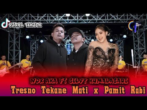 SILVY  KUMALASARI FT NDX AKA - Tresno Tekane Mati x Pamit Rabi ( viral tiktok)