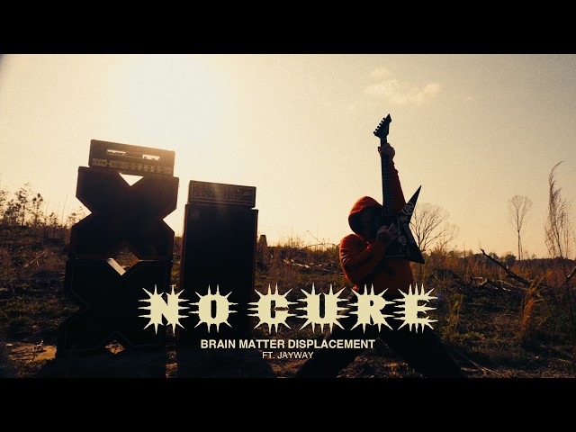 Brain Matter DisplacementNo Cure feat. Bayway