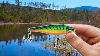 This Exotic Lake was Hiding a GIANT Fish!! by Engineering Hooksets 756 views 3 weeks ago 9 minutes, 13 seconds