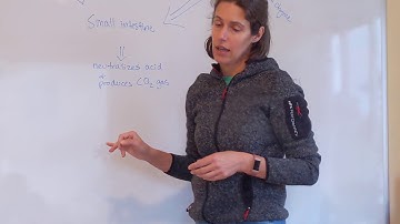 Apologia General Science Experiment 13.3