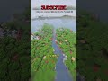 The BEST DOUBLE ISLAND SEED EVER