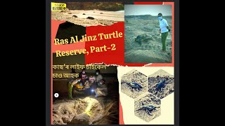 Sur City#Ras Al Jinz#Turtle Reserve / Oman Tour# Assamese Vlog..... Part-2